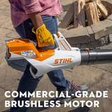 Stihl | BGA 60 Battery-Powered Blower | w/ AK 30 and AL 101 Charger (BA04 011 5941 US)