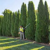 Stihl | HLA 135 K (0º) Battery Pole Hedge Trimmer | w/ AP 200 battery & AL 301 charger (HLA135K0-AP200-AL301-COMBO)