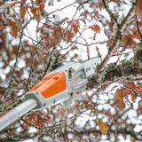 Stihl | HTA 50 Battery Pole Pruner | w/ AK 20 Battery and AL 101 Charger (LA02 200 0018)