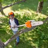 Stihl | HTA 66 Battery Pole Pruner | w/ AP 300 S battery & AL 301 charger (HTA66-AP300S-AL301-COMBO)