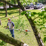 Stihl | HTA 86 Battery Pole Pruner | w/ AP 300 S battery & AL 301 charger (HTA86-AP300S-AL301-COMBO)